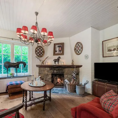 Beautiful Holiday In With Garden *